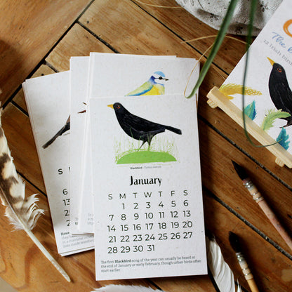 Birds In My Garden Calender