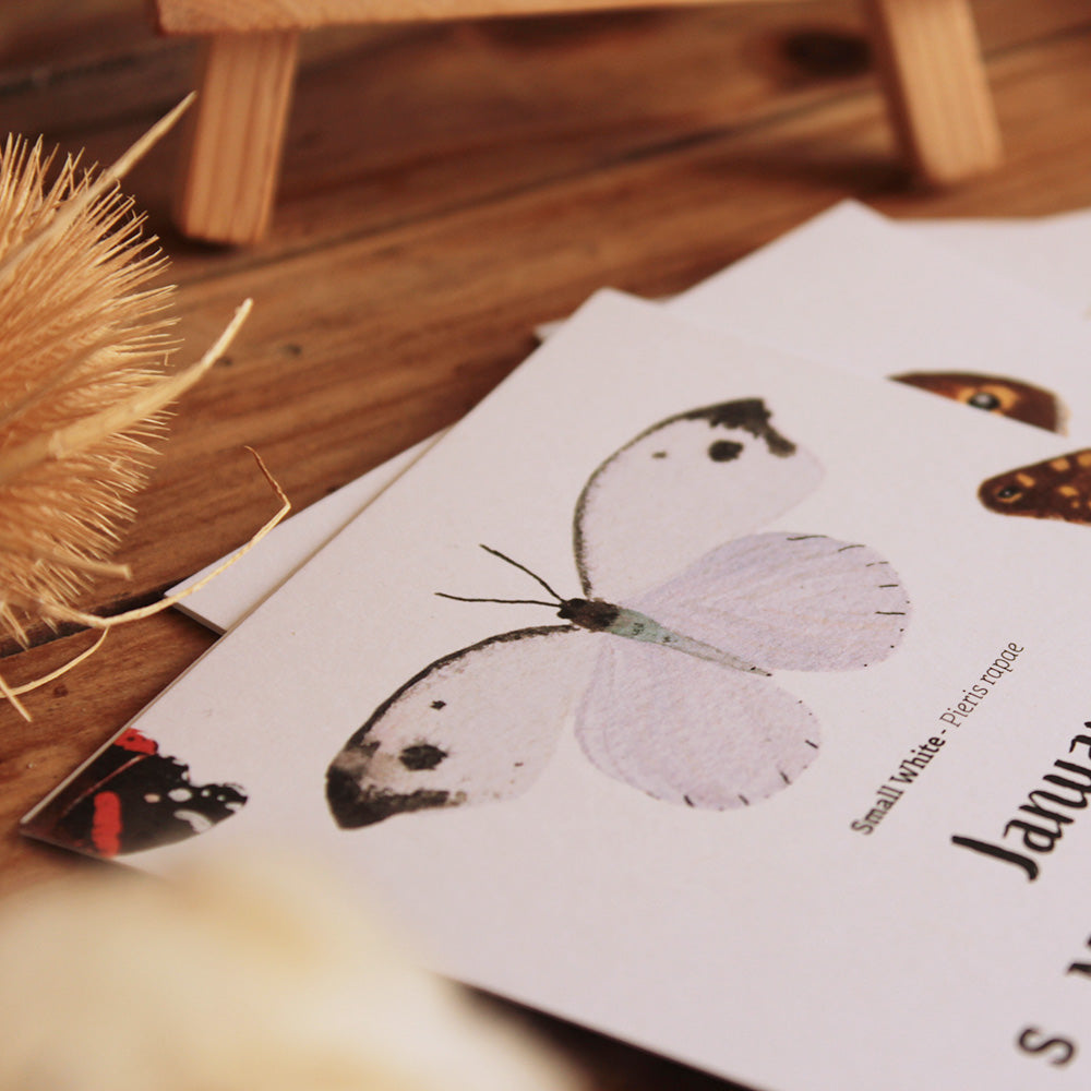 Whispers Of Wings Butterfly Calender