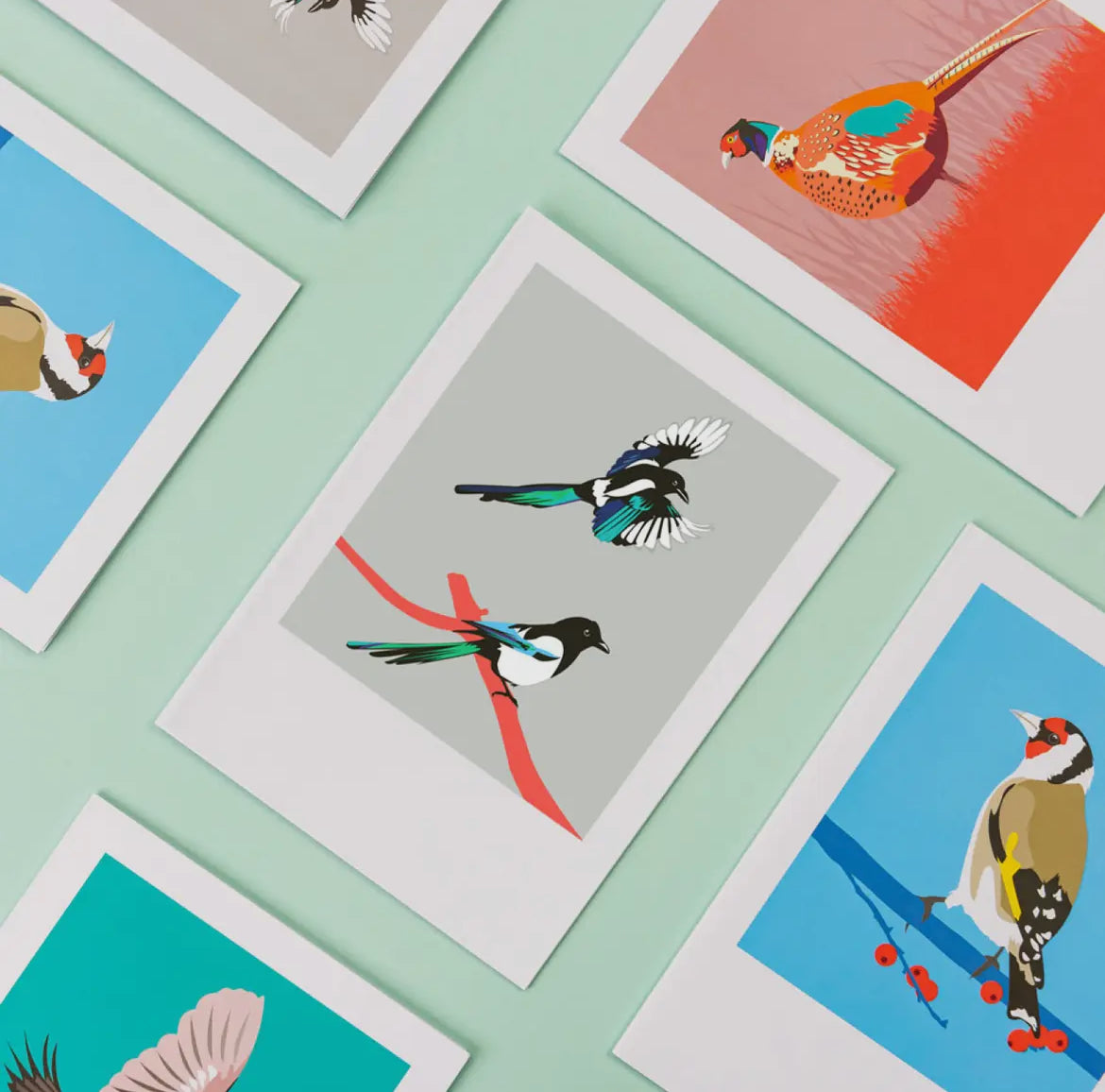 Bird Greeting Card Box