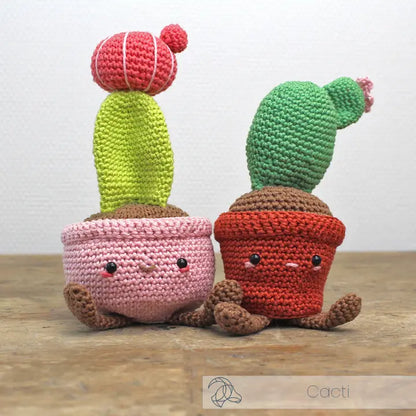 Moon Cactus Crochet Kit