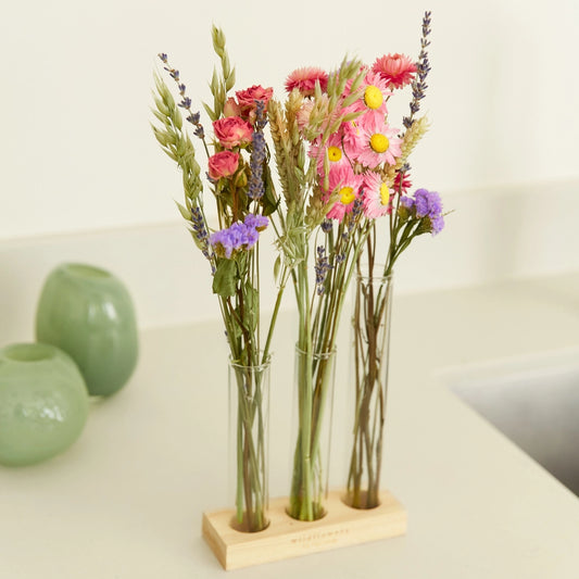 Trockenblumen mit Vasen