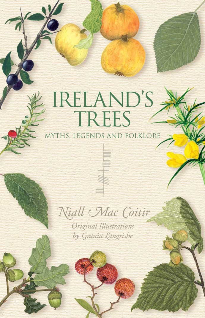 Ireland's Trees