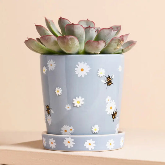 Blue Floral Bee Planter and Tray