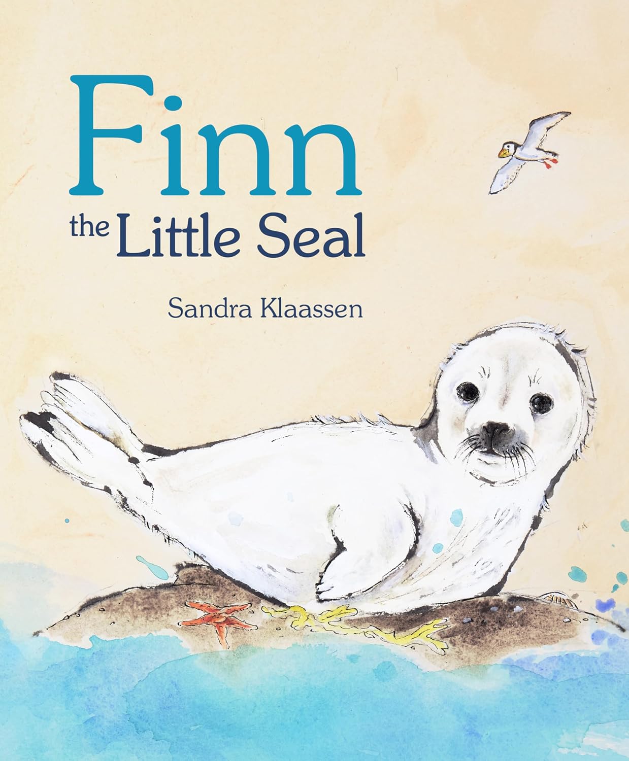 Finn The Little Seal