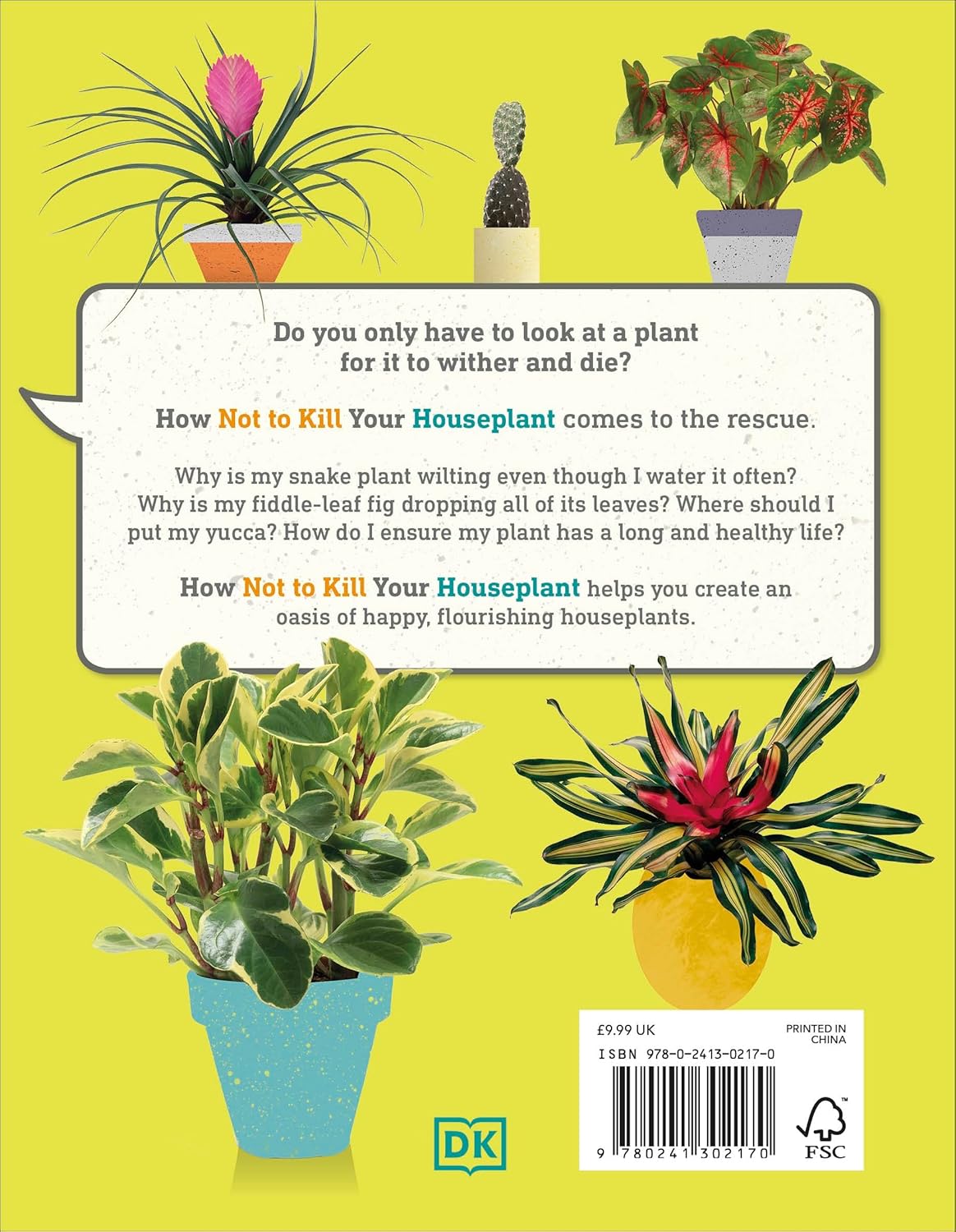 How To Not Kill Your Houseplant