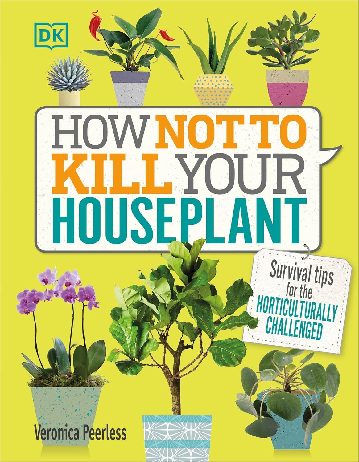 How To Not Kill Your Houseplant