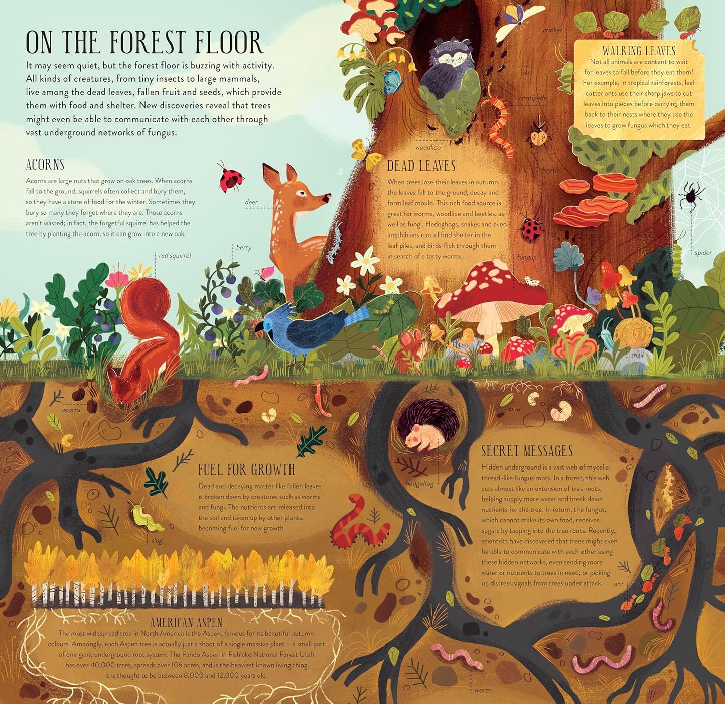 Build a Tree - Make and Play