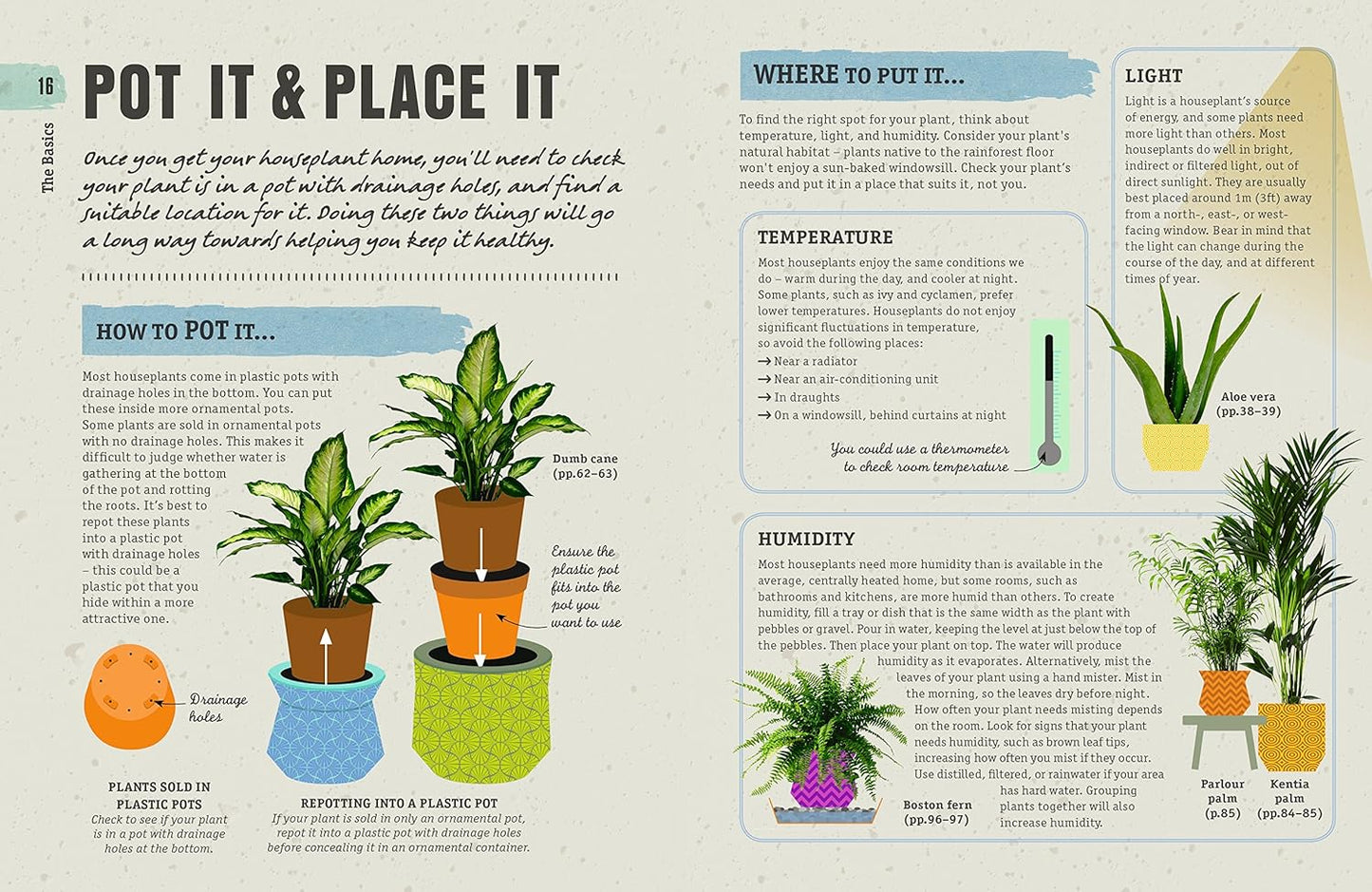 How To Not Kill Your Houseplant