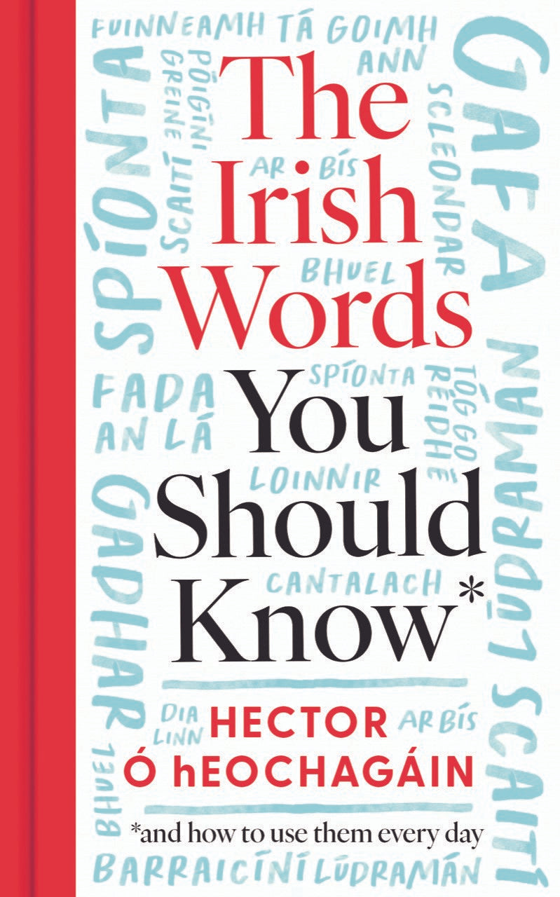 The Irish Words You Should Know