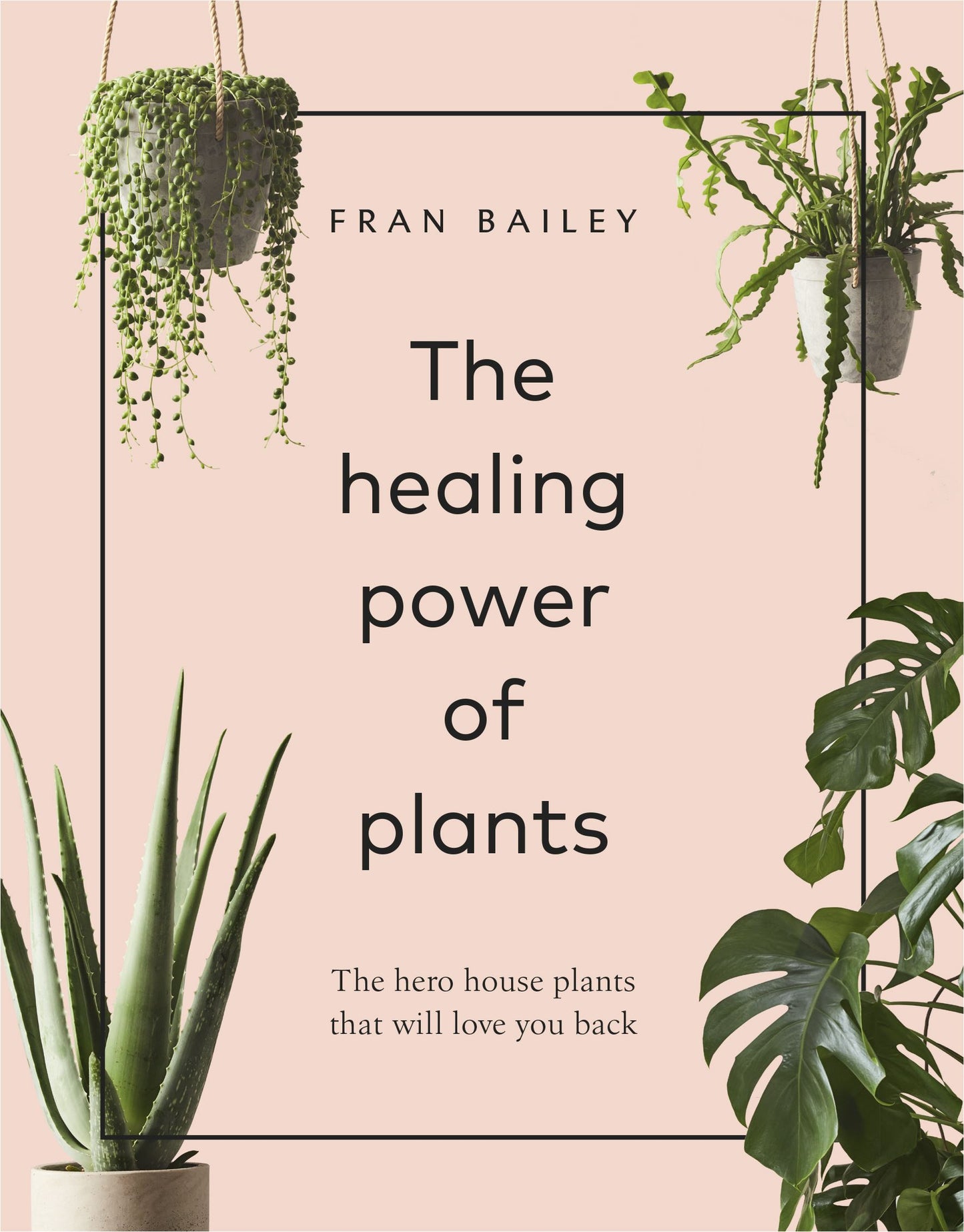 The Healing Power Of Plants