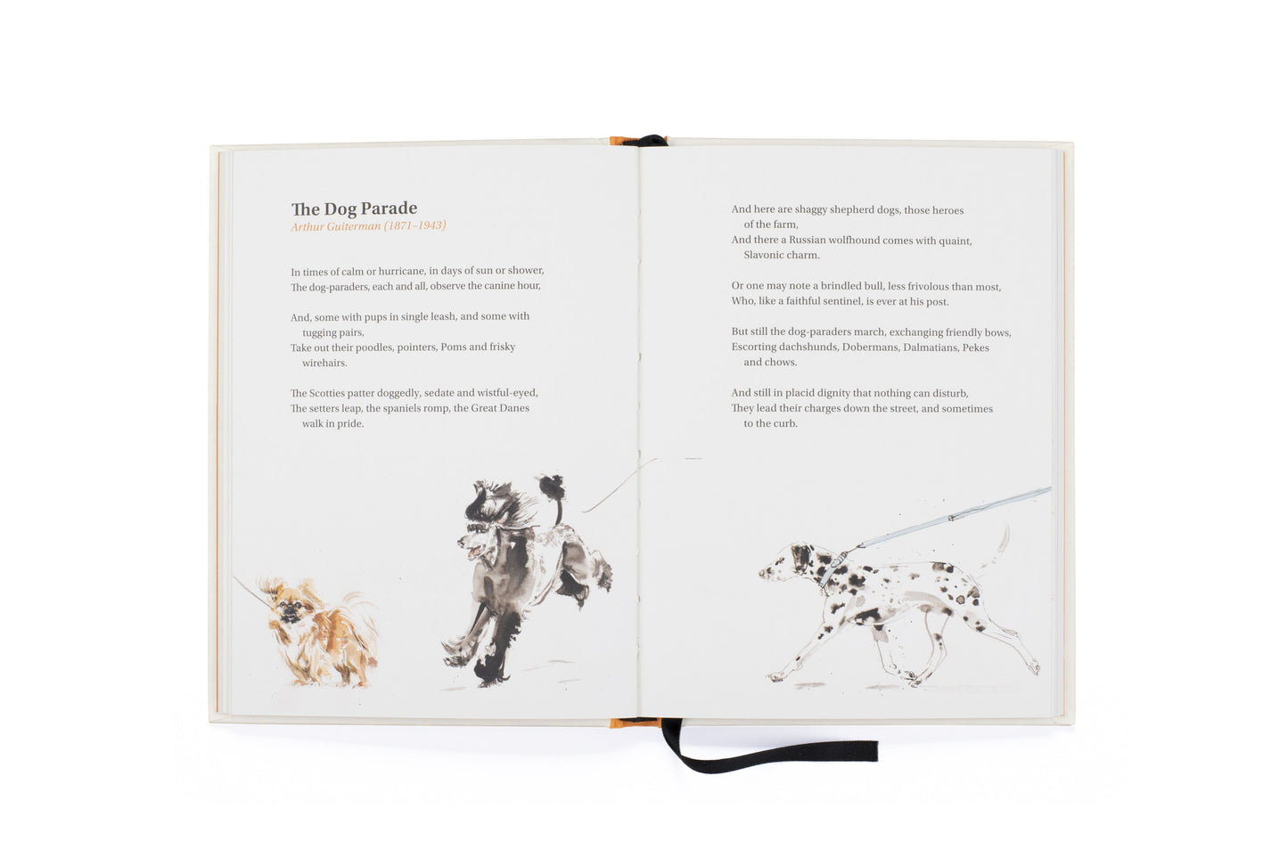 The Book Of Dog Poems