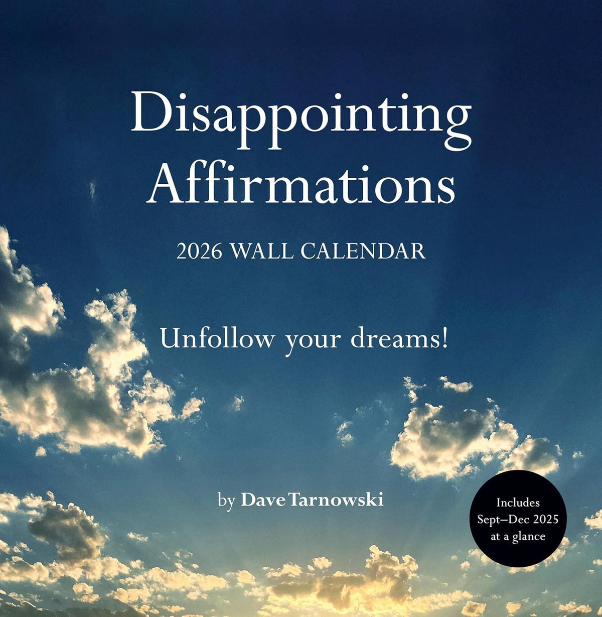 Change photos 2027 -Disappointing Affirmations 2027 Wall Calendar