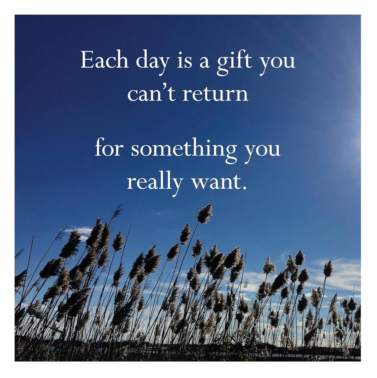 Change photos 2027 -Disappointing Affirmations 2027 Wall Calendar