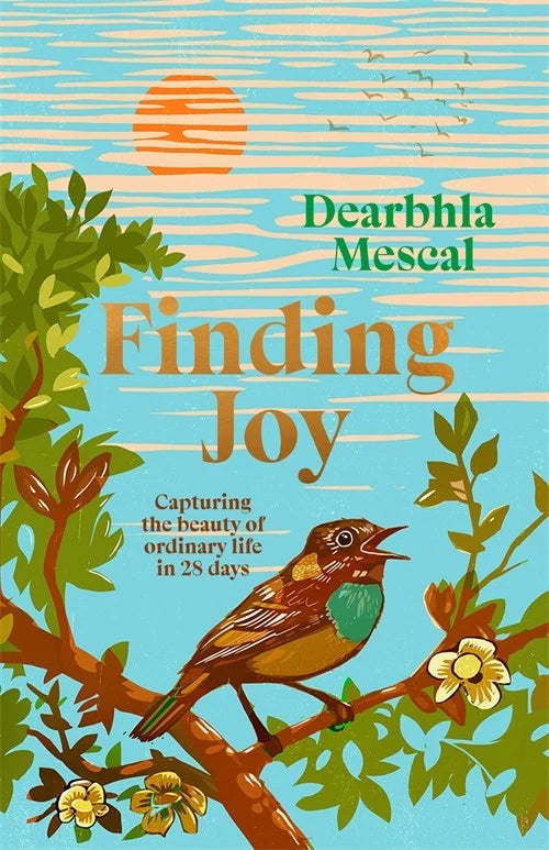 Finding Joy by Dearbhla Mescal