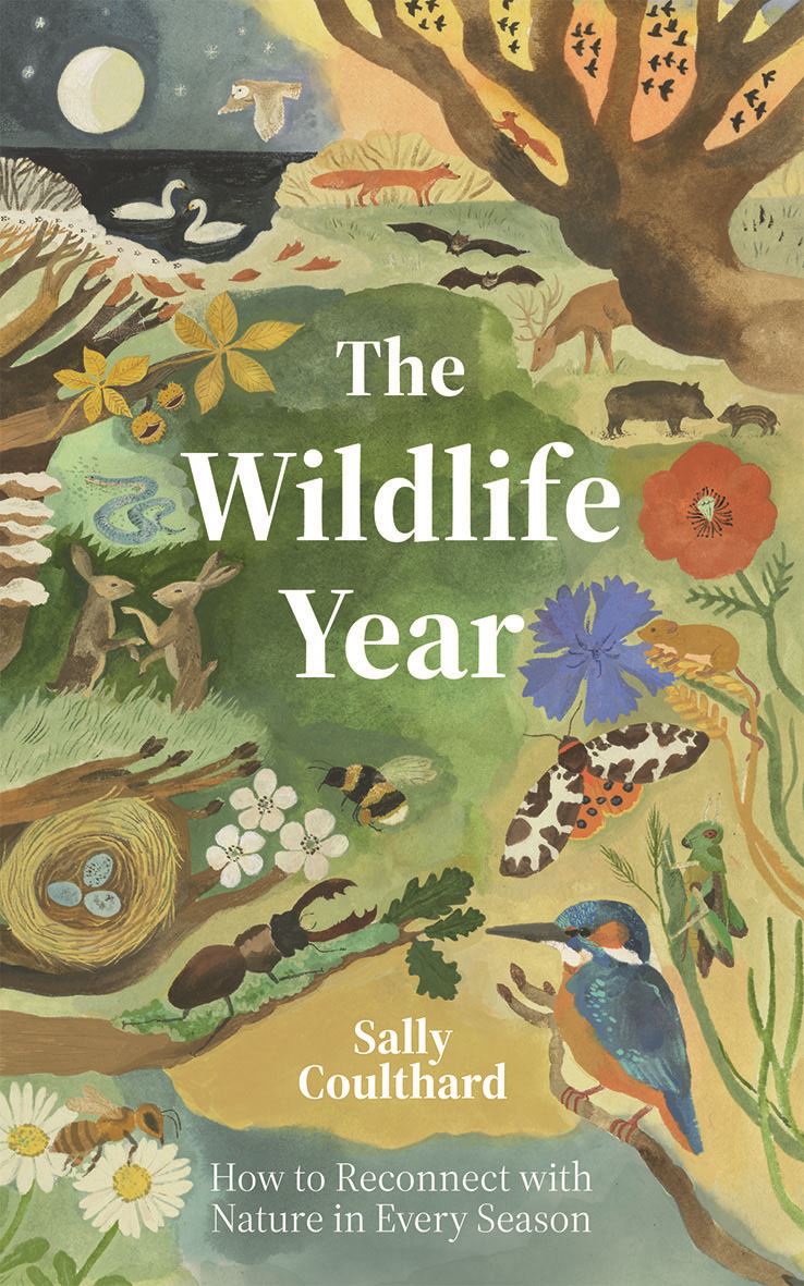 The Wildlife Year