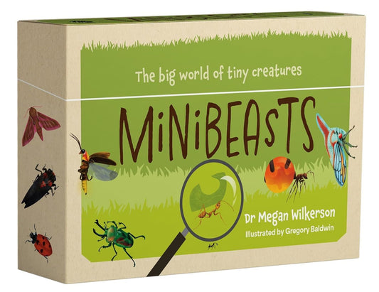 Minibeasts - The Big World of Tiny Creatures Deck