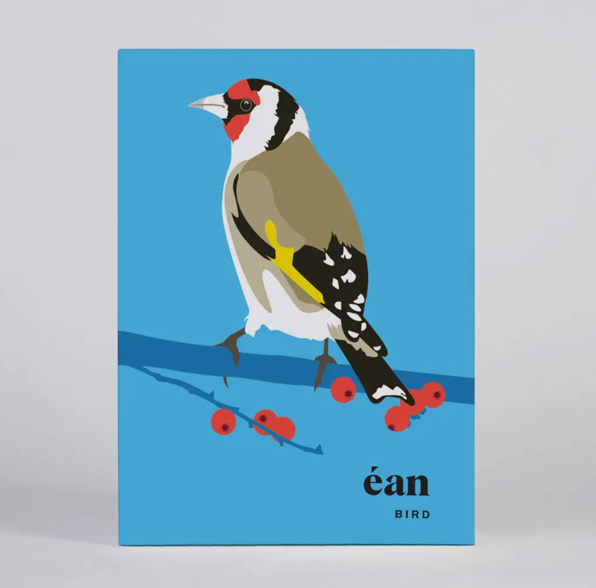 Bird Greeting Card Box