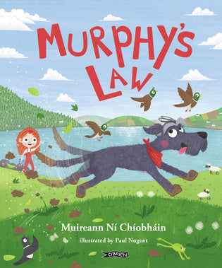 Murphy’s Law Book