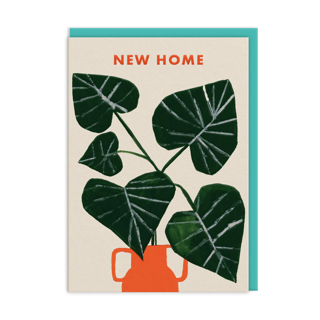 Ohh Deer New Home Plant