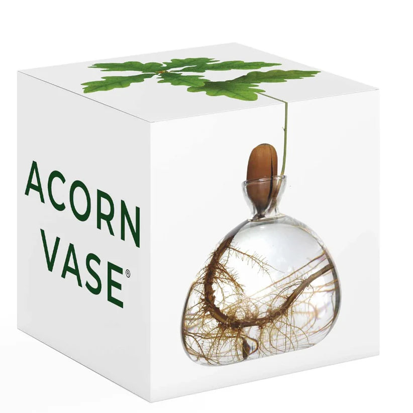 Acorn Vase Russet Brown