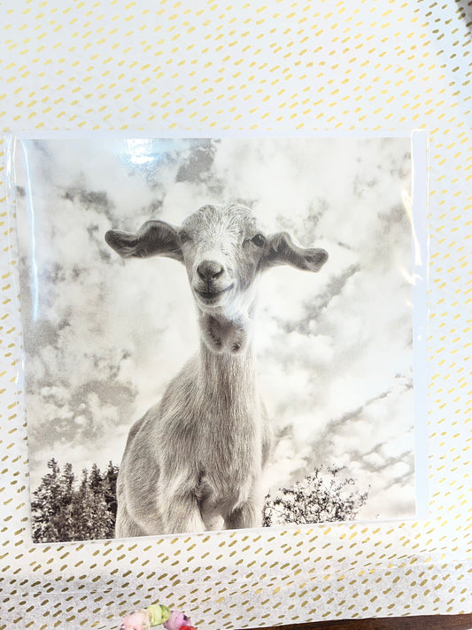 Happy baa day card