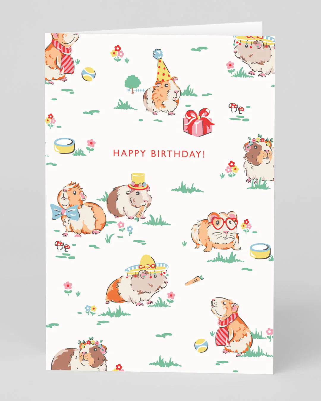 Ohh Deer Happy Birthday Guinea Pig