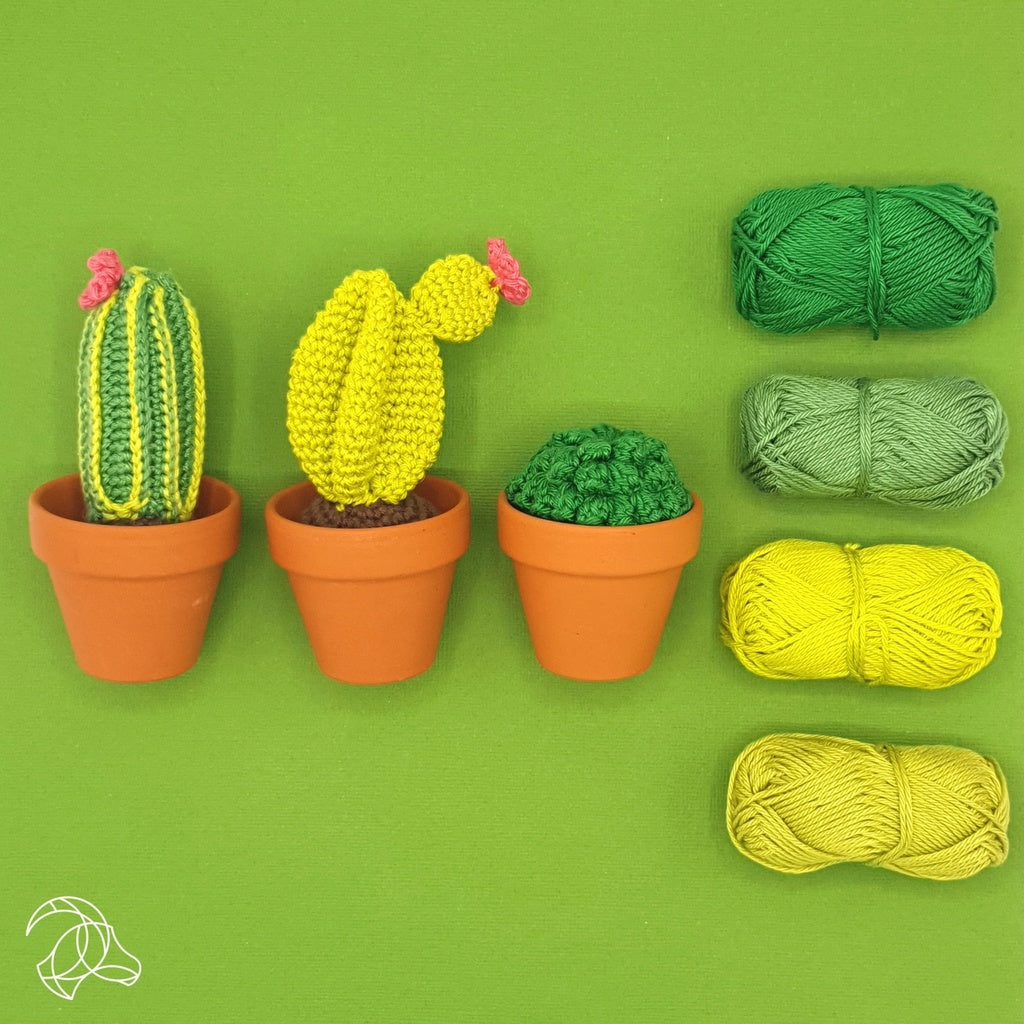 Cactus Crochet Kit