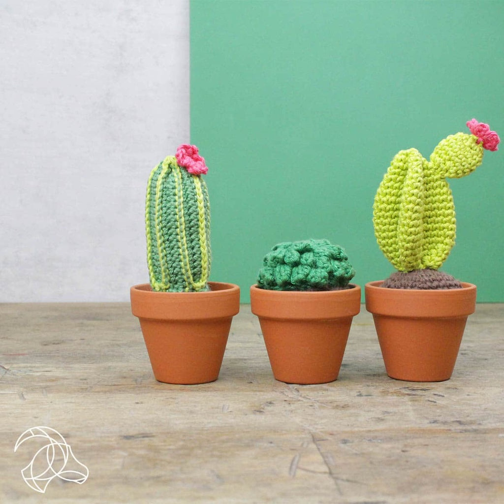 Cactus Crochet Kit