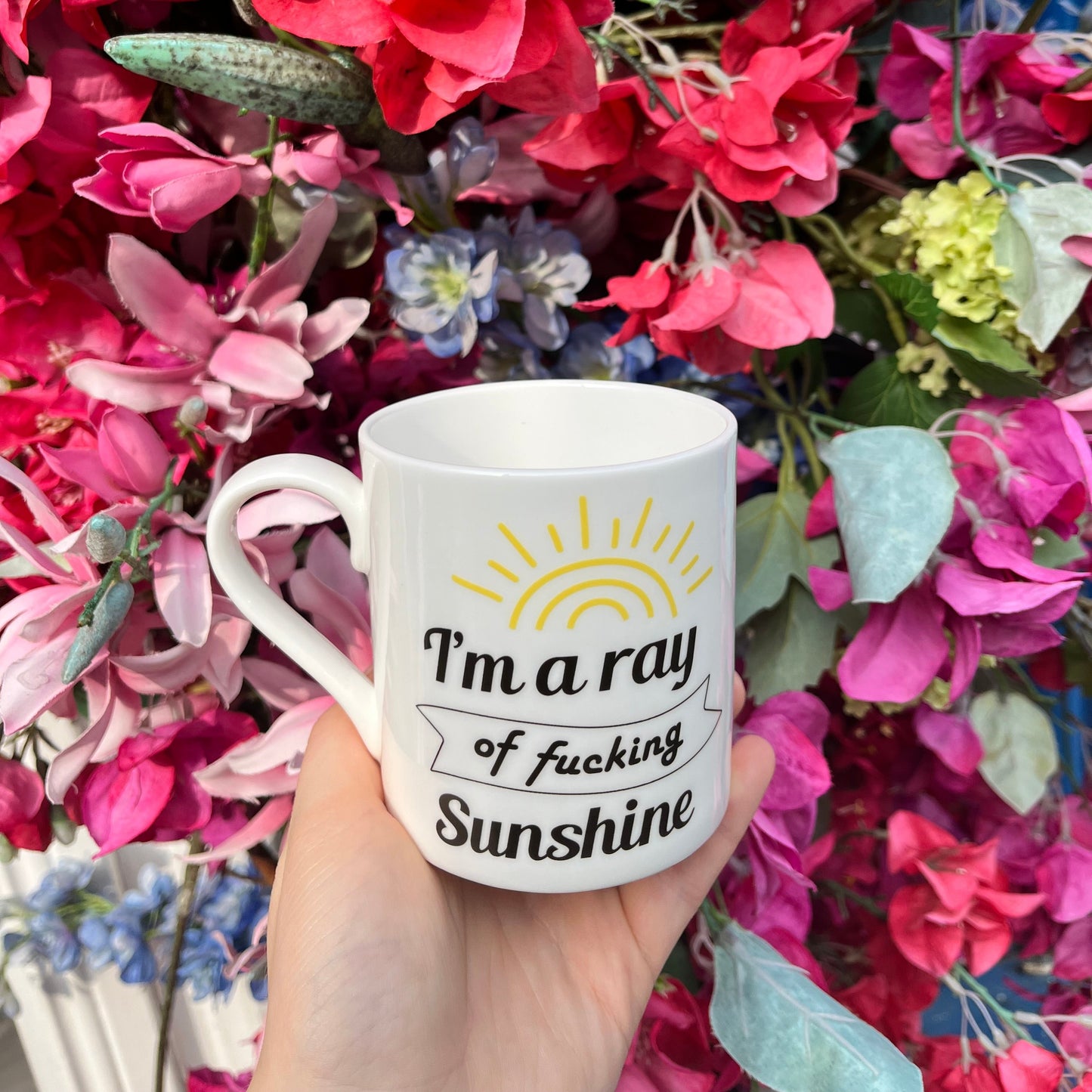 Ray of Fucking Sunshine Mug