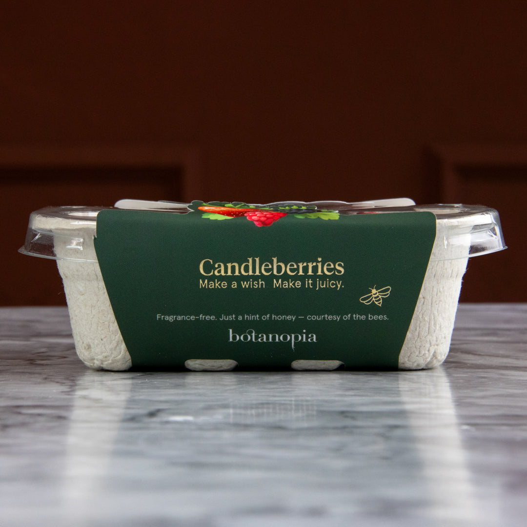 Candleberries
