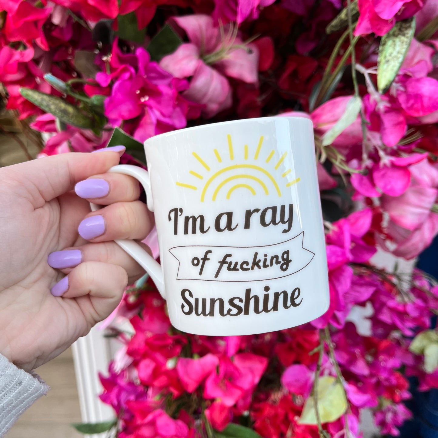 I’m a Ray of Fucking Sunshine Mug