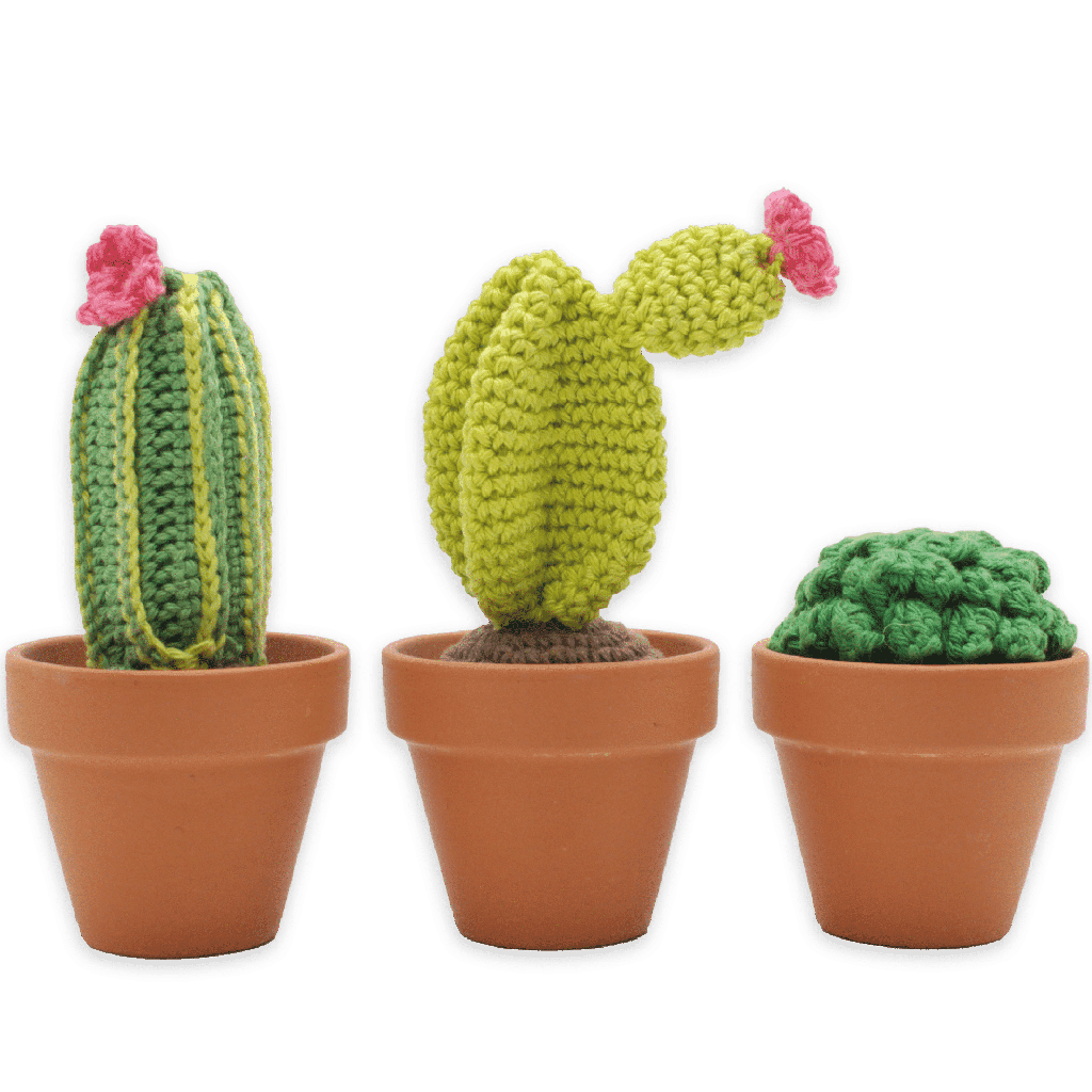 Cactus Crochet Kit