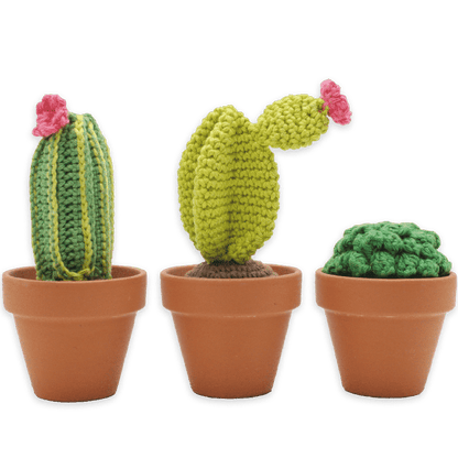 Cactus Crochet Kit