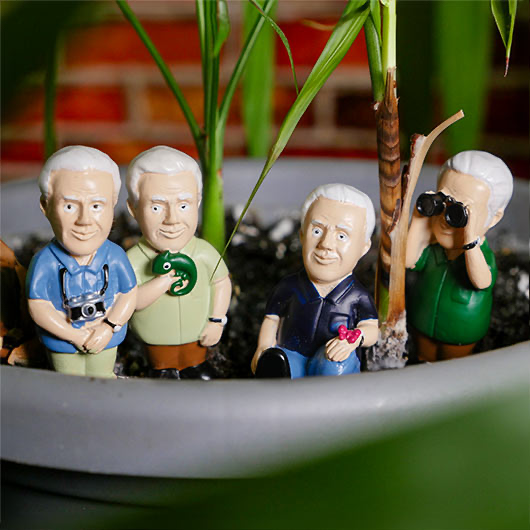 David Attenborough Mini Plant Pot Markers