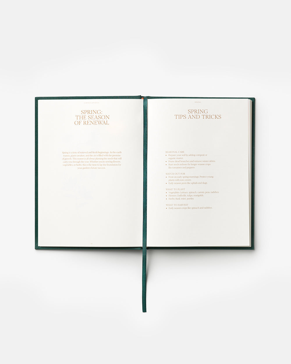 The Secret Garden Planner