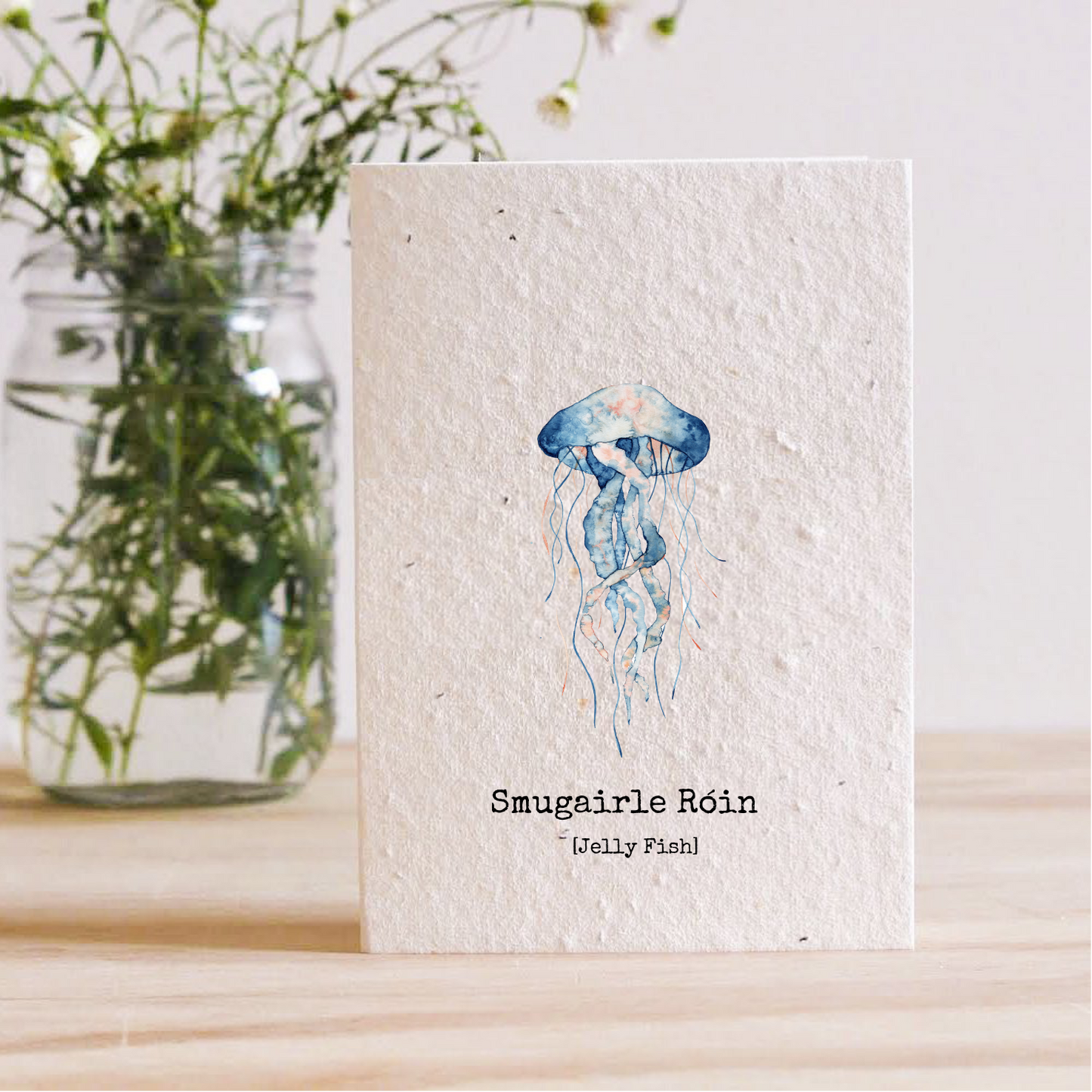 Smugairle Róin (Jellyfish) - Plantable Seed Card