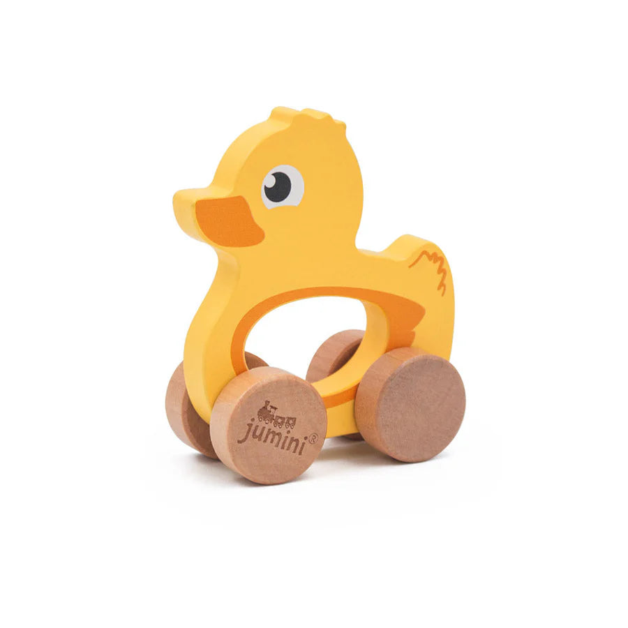 Duck Push Along Toy