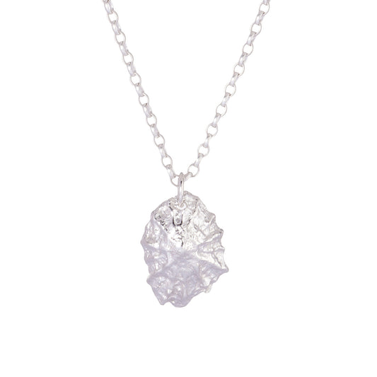 Limpet Shell Necklace