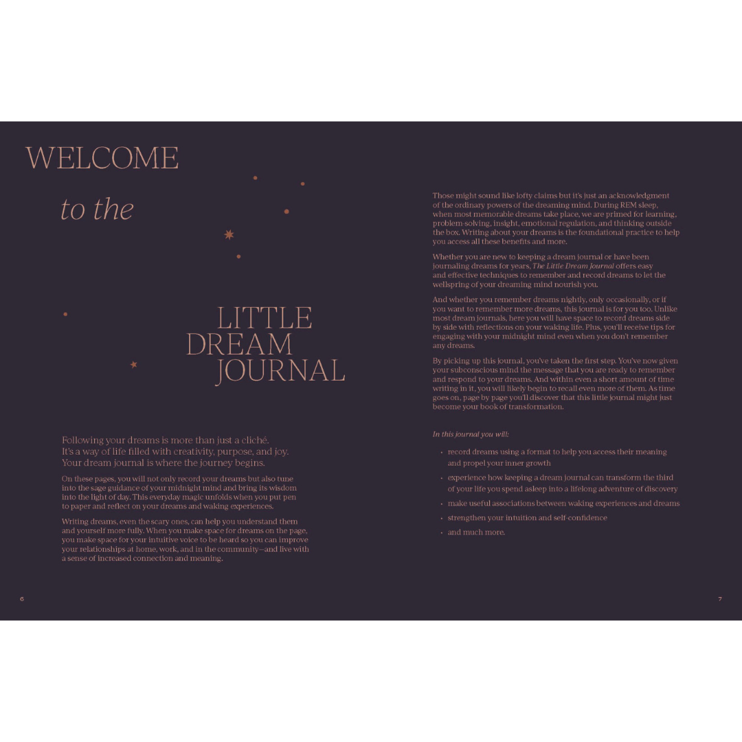 Little Dream Journal