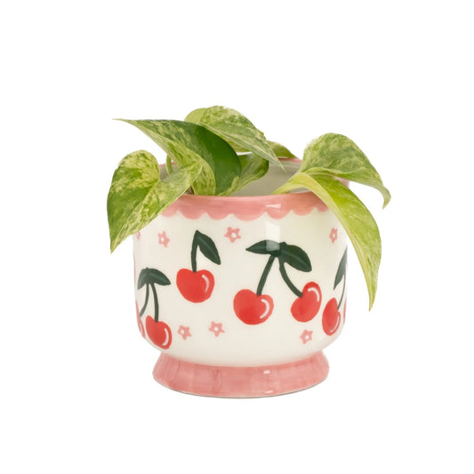 Fruit Mini Planter - Cherry