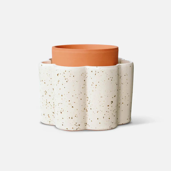 Pepin Paulita - Self-Watering Pot