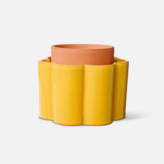 Pepin Paulita - Self-Watering Pot