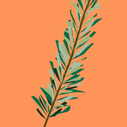 NoT Essential Oil Rosemary