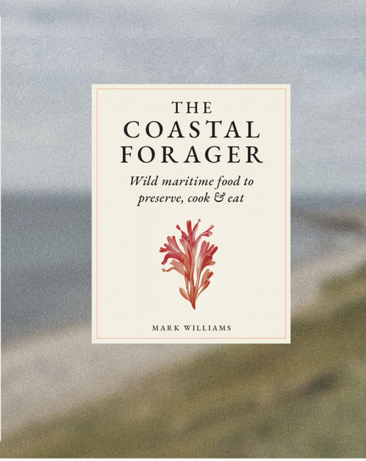 The Coastal Forager