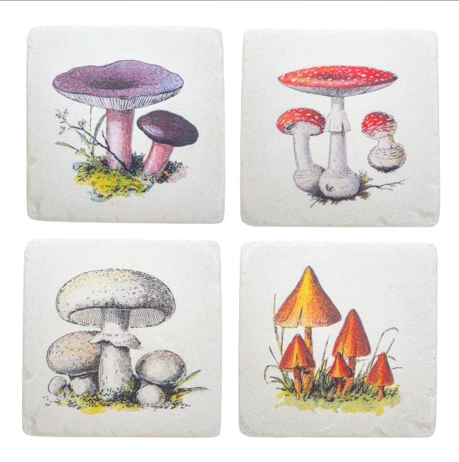 Vintage Mushroom Coasters