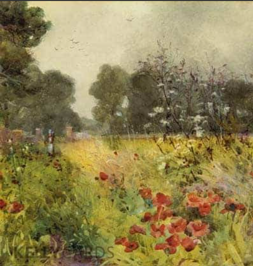 Poppy-Land ~ Mildred Anne Butler