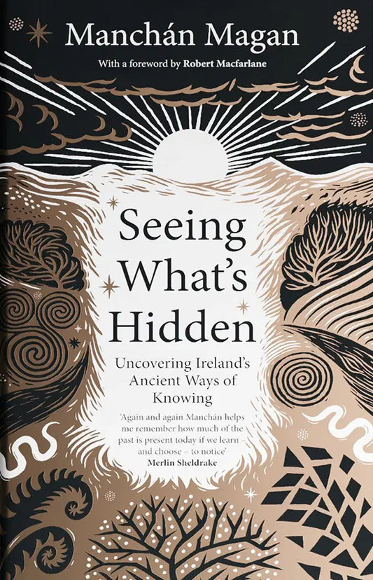 Seeing What’s Hidden - Manchán Magan