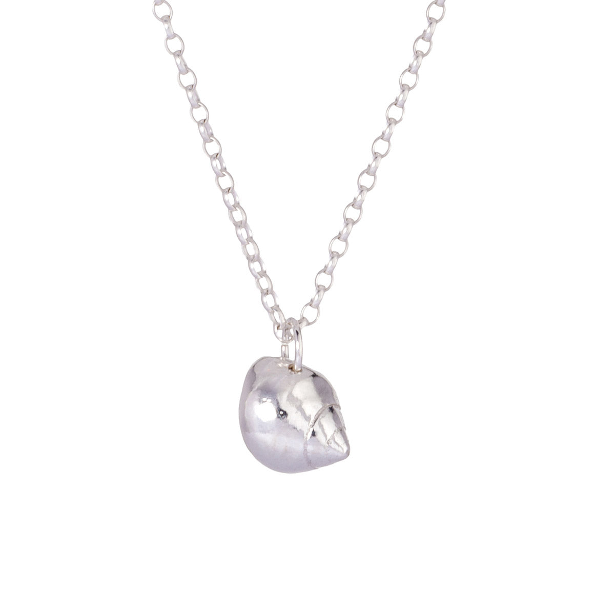 Periwinkle Shell Pendant