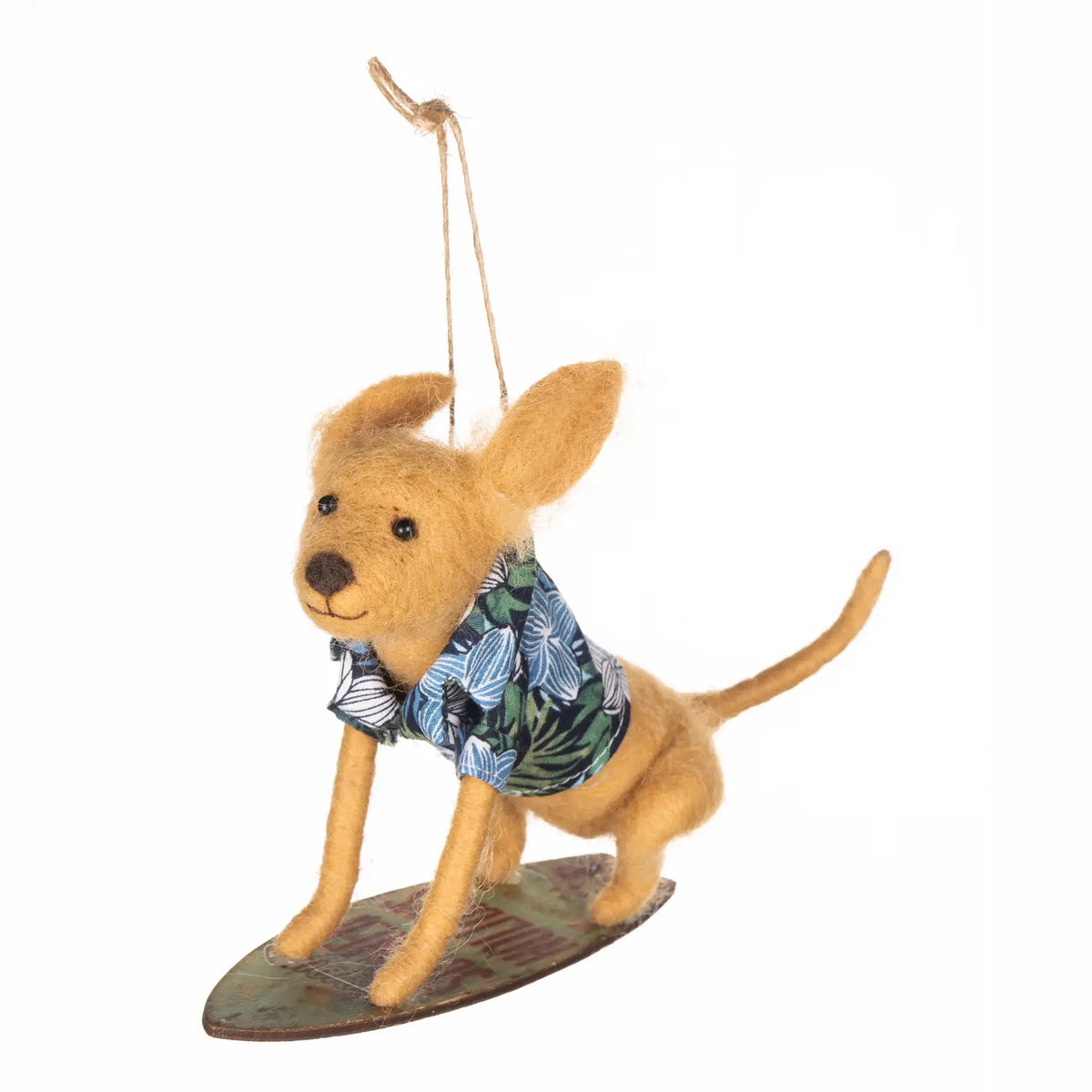 Surfing Pupster