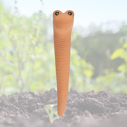 Willy The Worm